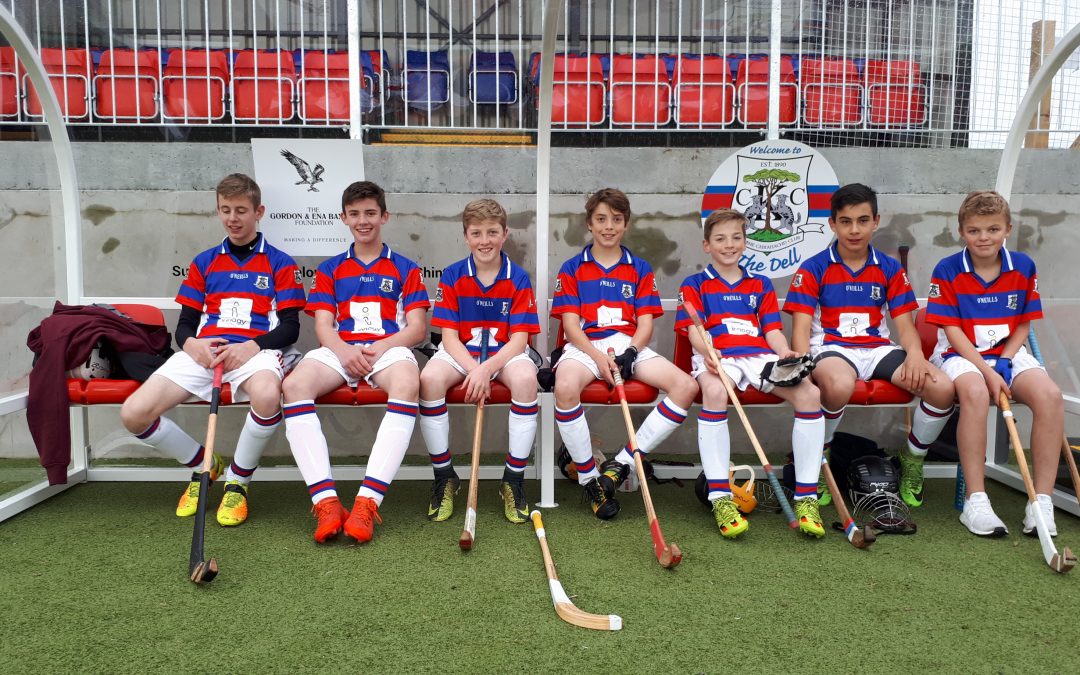 The Year In Review: Supporting Shinty